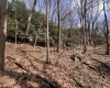 2000 Kingwood Pike, Morgantown, West Virginia 26508, ,Lots/land,For Sale,Kingwood,10164236