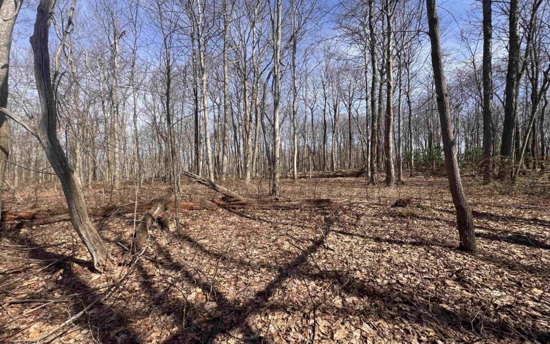2000 Kingwood Pike, Morgantown, West Virginia 26508, ,Lots/land,For Sale,Kingwood,10164236