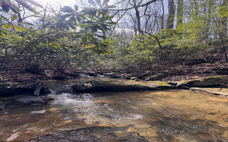 2000 Kingwood Pike, Morgantown, West Virginia 26508, ,Lots/land,For Sale,Kingwood,10164236