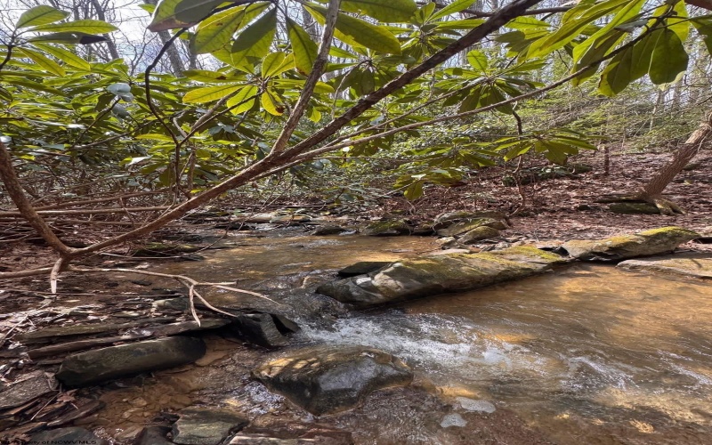 2000 Kingwood Pike, Morgantown, West Virginia 26508, ,Lots/land,For Sale,Kingwood,10164236