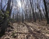 2000 Kingwood Pike, Morgantown, West Virginia 26508, ,Lots/land,For Sale,Kingwood,10164236