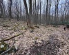 2000 Kingwood Pike, Morgantown, West Virginia 26508, ,Lots/land,For Sale,Kingwood,10164236