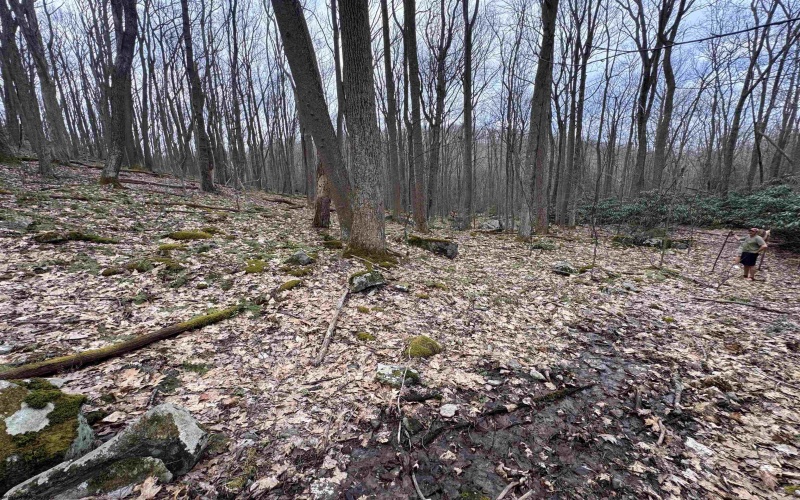 2000 Kingwood Pike, Morgantown, West Virginia 26508, ,Lots/land,For Sale,Kingwood,10164236