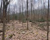 2000 Kingwood Pike, Morgantown, West Virginia 26508, ,Lots/land,For Sale,Kingwood,10164236
