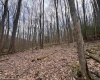 2000 Kingwood Pike, Morgantown, West Virginia 26508, ,Lots/land,For Sale,Kingwood,10164236