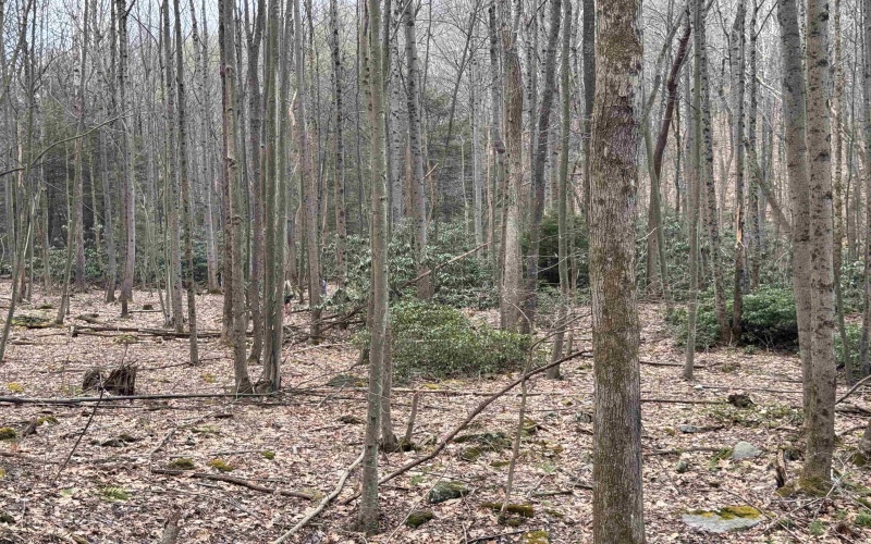 2000 Kingwood Pike, Morgantown, West Virginia 26508, ,Lots/land,For Sale,Kingwood,10164236