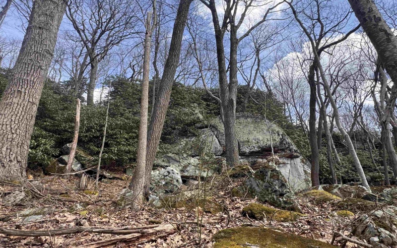 2000 Kingwood Pike, Morgantown, West Virginia 26508, ,Lots/land,For Sale,Kingwood,10164236