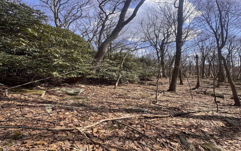 2000 Kingwood Pike, Morgantown, West Virginia 26508, ,Lots/land,For Sale,Kingwood,10164236