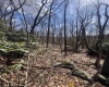 2000 Kingwood Pike, Morgantown, West Virginia 26508, ,Lots/land,For Sale,Kingwood,10164236
