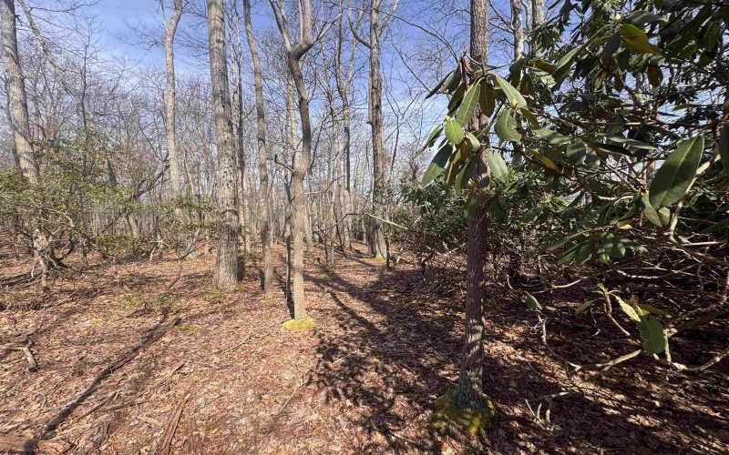 2000 Kingwood Pike, Morgantown, West Virginia 26508, ,Lots/land,For Sale,Kingwood,10164236