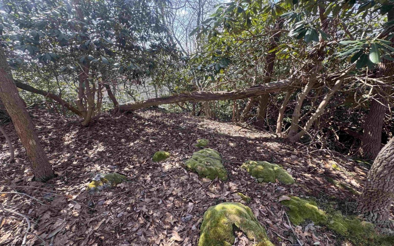 2000 Kingwood Pike, Morgantown, West Virginia 26508, ,Lots/land,For Sale,Kingwood,10164236