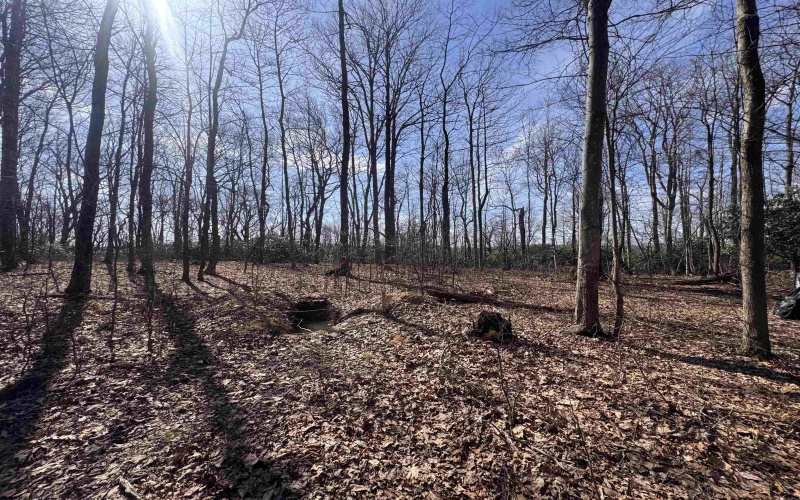 2000 Kingwood Pike, Morgantown, West Virginia 26508, ,Lots/land,For Sale,Kingwood,10164236