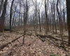 2000 Kingwood Pike, Morgantown, West Virginia 26508, ,Lots/land,For Sale,Kingwood,10164236