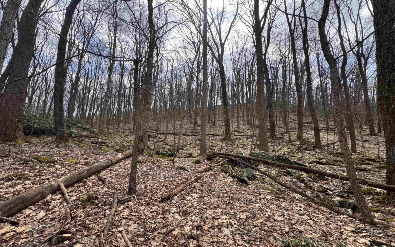 2000 Kingwood Pike, Morgantown, West Virginia 26508, ,Lots/land,For Sale,Kingwood,10164236