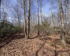 2000 Kingwood Pike, Morgantown, West Virginia 26508, ,Lots/land,For Sale,Kingwood,10164236