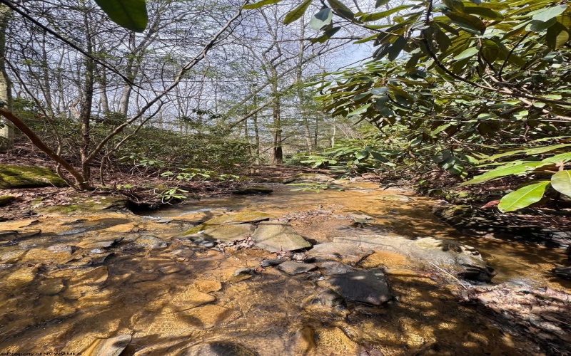 2000 Kingwood Pike, Morgantown, West Virginia 26508, ,Lots/land,For Sale,Kingwood,10164236