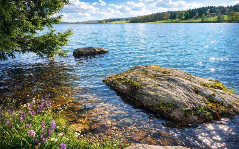 TBD Anemone Lane, Terra Alta, West Virginia 26764, ,Lots/land,For Sale,Anemone,10164246 TBD Anemone Lane, Terra Alta, West Virginia 26764, ,Lots/land,For Sale,Anemone,10164246