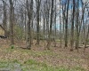 TBD Anemone Lane, Terra Alta, West Virginia 26764, ,Lots/land,For Sale,Anemone,10164246 TBD Anemone Lane, Terra Alta, West Virginia 26764, ,Lots/land,For Sale,Anemone,10164246