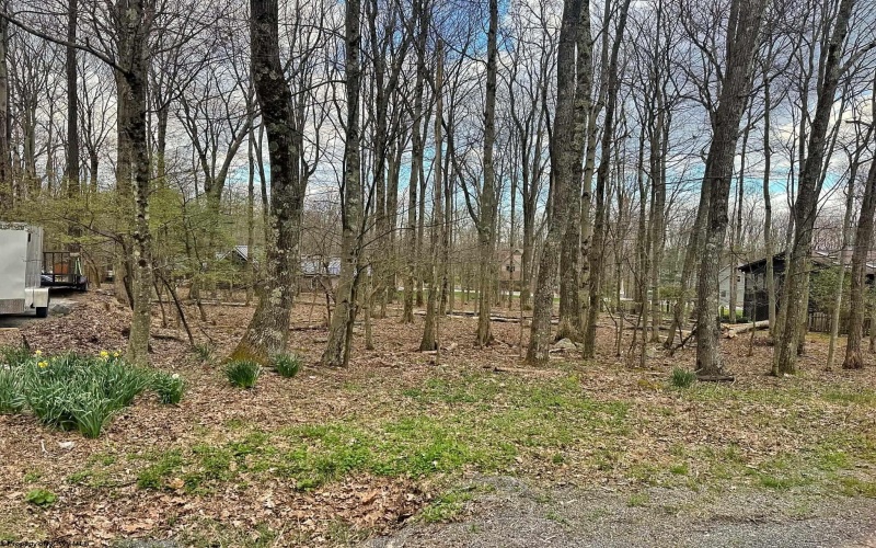 TBD Anemone Lane, Terra Alta, West Virginia 26764, ,Lots/land,For Sale,Anemone,10164246 TBD Anemone Lane, Terra Alta, West Virginia 26764, ,Lots/land,For Sale,Anemone,10164246