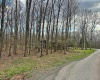 TBD Anemone Lane, Terra Alta, West Virginia 26764, ,Lots/land,For Sale,Anemone,10164246 TBD Anemone Lane, Terra Alta, West Virginia 26764, ,Lots/land,For Sale,Anemone,10164246