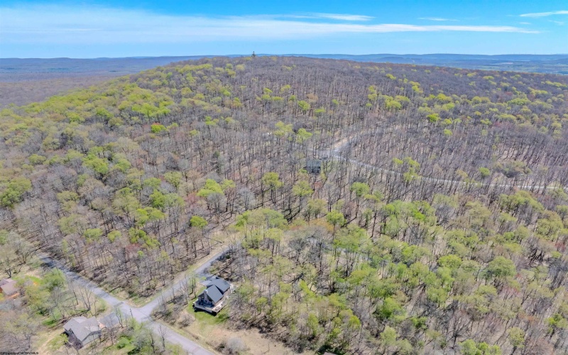0 Bluebird Drive, Terra Alta, West Virginia 26764, ,Lots/land,For Sale,Bluebird,10158935