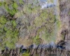 0 Bluebird Drive, Terra Alta, West Virginia 26764, ,Lots/land,For Sale,Bluebird,10158935