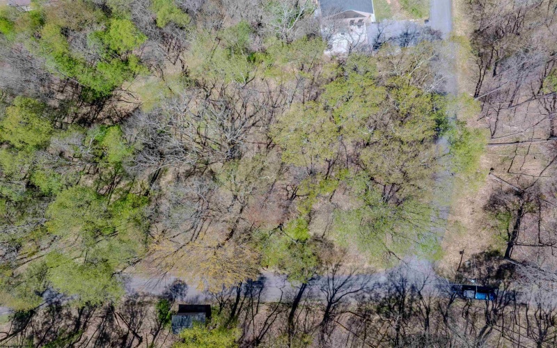 0 Bluebird Drive, Terra Alta, West Virginia 26764, ,Lots/land,For Sale,Bluebird,10158935