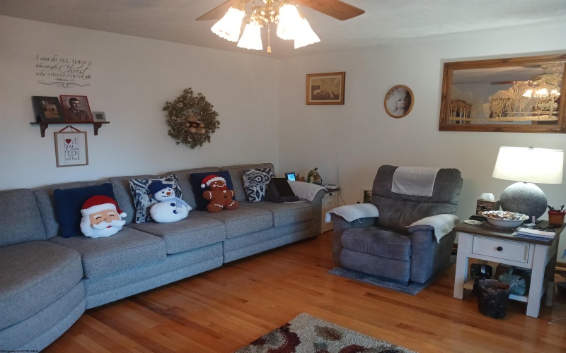 200 Nelson Road, Thomas, West Virginia 26292, 3 Bedrooms Bedrooms, 13 Rooms Rooms,3 BathroomsBathrooms,Single Family Detached,For Sale,Nelson,10162738