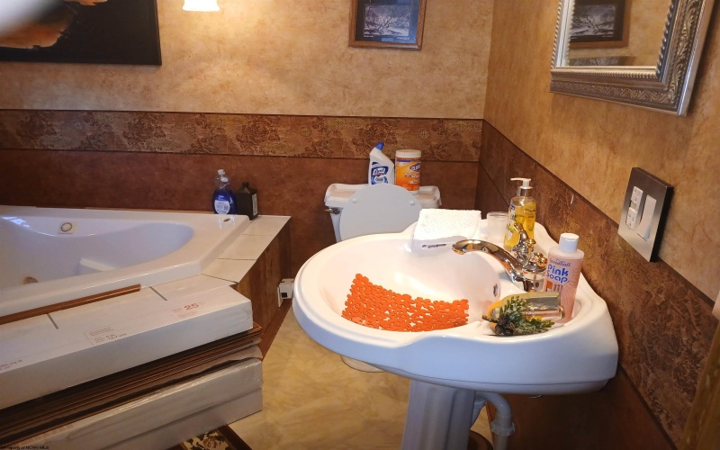 200 Nelson Road, Thomas, West Virginia 26292, 3 Bedrooms Bedrooms, 13 Rooms Rooms,3 BathroomsBathrooms,Single Family Detached,For Sale,Nelson,10162738