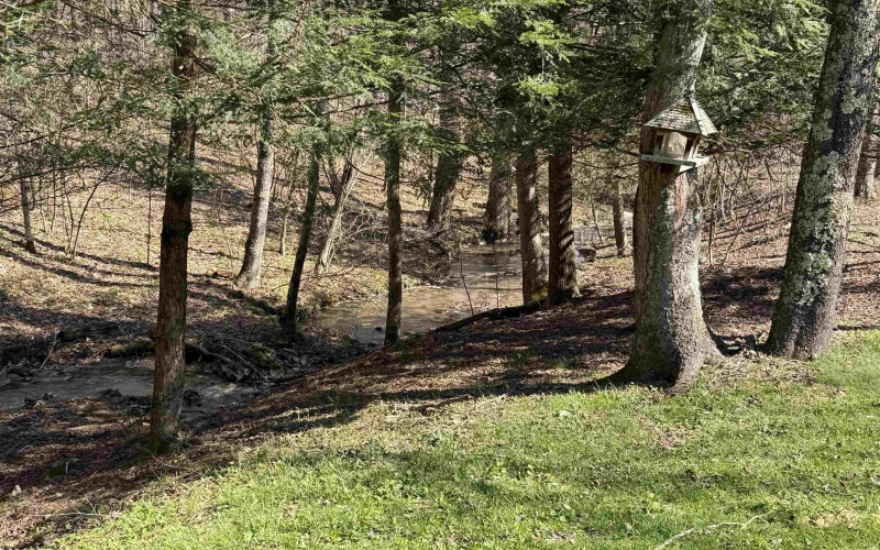 3940 Buckhannon Pike, Coalton, West Virginia 26257, 3 Bedrooms Bedrooms, 9 Rooms Rooms,2 BathroomsBathrooms,Single Family Detached,For Sale,Buckhannon,10164274 3940 Buckhannon Pike, Coalton, West Virginia 26257, 3 Bedrooms Bedrooms, 9 Rooms Rooms,2 BathroomsBathrooms,Single Family Detached,For Sale,Buckhannon,10164274