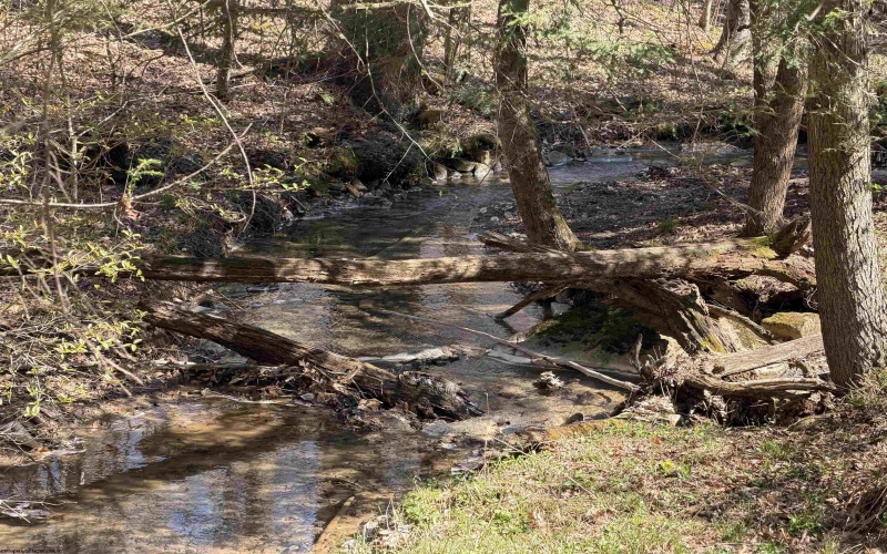 3940 Buckhannon Pike, Coalton, West Virginia 26257, 3 Bedrooms Bedrooms, 9 Rooms Rooms,2 BathroomsBathrooms,Single Family Detached,For Sale,Buckhannon,10164274 3940 Buckhannon Pike, Coalton, West Virginia 26257, 3 Bedrooms Bedrooms, 9 Rooms Rooms,2 BathroomsBathrooms,Single Family Detached,For Sale,Buckhannon,10164274