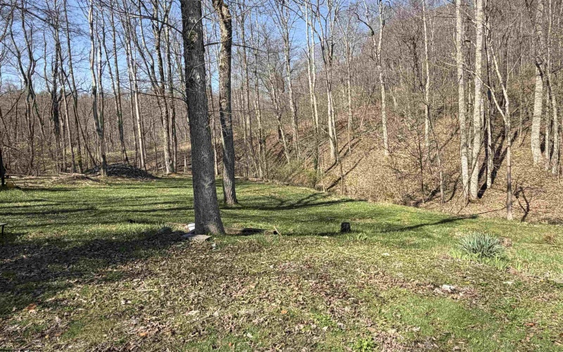 3940 Buckhannon Pike, Coalton, West Virginia 26257, 3 Bedrooms Bedrooms, 9 Rooms Rooms,2 BathroomsBathrooms,Single Family Detached,For Sale,Buckhannon,10164274 3940 Buckhannon Pike, Coalton, West Virginia 26257, 3 Bedrooms Bedrooms, 9 Rooms Rooms,2 BathroomsBathrooms,Single Family Detached,For Sale,Buckhannon,10164274