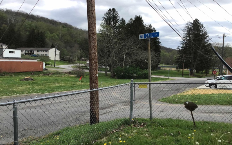 407 Gall Street, Philippi, West Virginia 26416, 3 Bedrooms Bedrooms, 5 Rooms Rooms,2 BathroomsBathrooms,Single Family Detached,For Sale,Gall,10164271