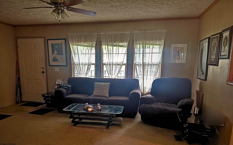 407 Gall Street, Philippi, West Virginia 26416, 3 Bedrooms Bedrooms, 5 Rooms Rooms,2 BathroomsBathrooms,Single Family Detached,For Sale,Gall,10164271