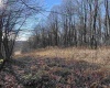 TBD Palmer Drive, Fairmont, West Virginia 26554, ,Lots/land,For Sale,Palmer,10164295