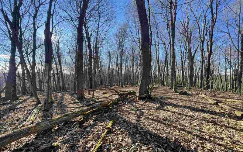 TBD Palmer Drive, Fairmont, West Virginia 26554, ,Lots/land,For Sale,Palmer,10164295