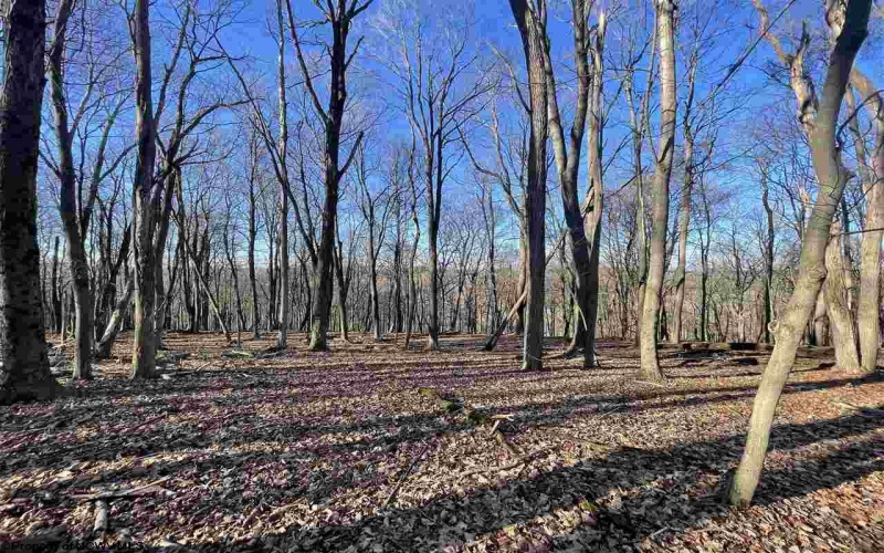 TBD Palmer Drive, Fairmont, West Virginia 26554, ,Lots/land,For Sale,Palmer,10164295