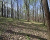TBD Palmer Drive, Fairmont, West Virginia 26554, ,Lots/land,For Sale,Palmer,10164295