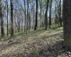TBD Palmer Drive, Fairmont, West Virginia 26554, ,Lots/land,For Sale,Palmer,10164295