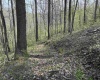 TBD Palmer Drive, Fairmont, West Virginia 26554, ,Lots/land,For Sale,Palmer,10164295