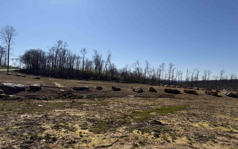 Lot 10 Poplar Ridge, Bruceton Mills, West Virginia 26525, ,Lots/land,For Sale,Poplar,10164293