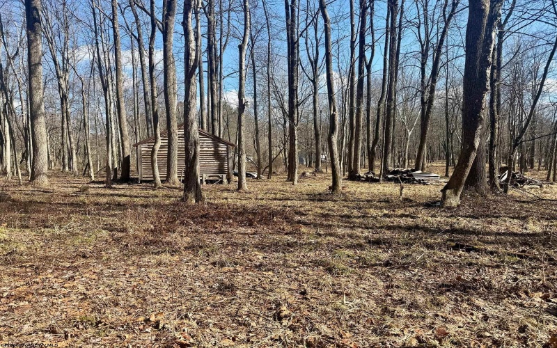 0 Ludwig Road, Grafton, West Virginia 26354, ,Lots/land,For Sale,Ludwig,10163505