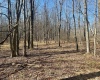 0 Ludwig Road, Grafton, West Virginia 26354, ,Lots/land,For Sale,Ludwig,10163505