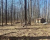 0 Ludwig Road, Grafton, West Virginia 26354, ,Lots/land,For Sale,Ludwig,10163505
