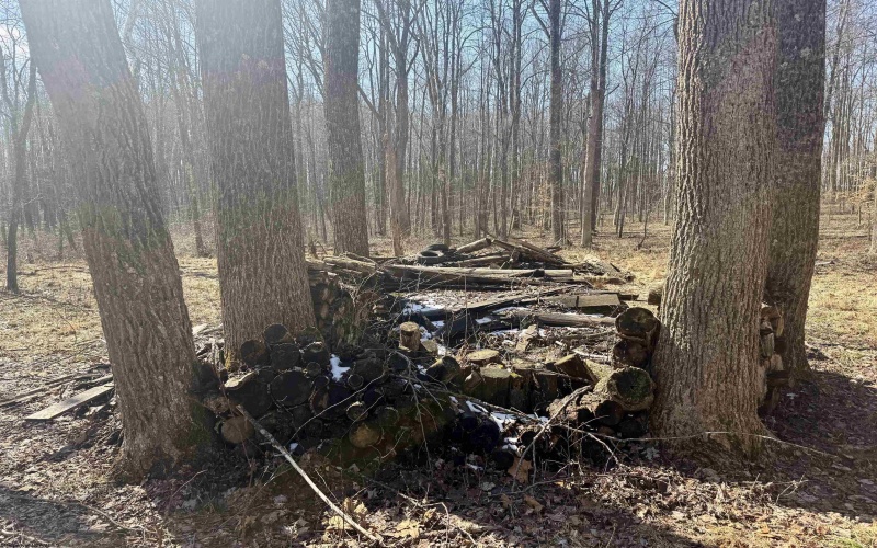 0 Ludwig Road, Grafton, West Virginia 26354, ,Lots/land,For Sale,Ludwig,10163505