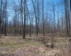 Lot 1 Preston Highway, Tunnelton, West Virginia 26444, ,Lots/land,For Sale,Preston,10164291