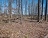 Lot 1 Preston Highway, Tunnelton, West Virginia 26444, ,Lots/land,For Sale,Preston,10164291