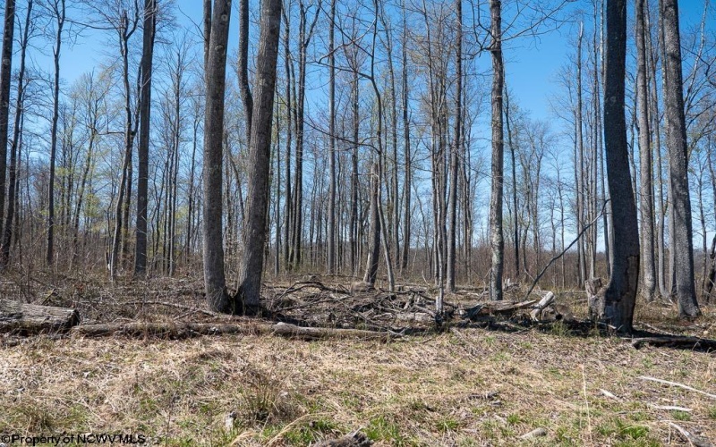 Lot 1 Preston Highway, Tunnelton, West Virginia 26444, ,Lots/land,For Sale,Preston,10164291