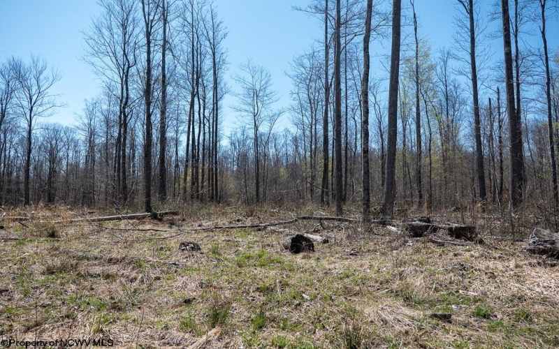 Lot 1 Preston Highway, Tunnelton, West Virginia 26444, ,Lots/land,For Sale,Preston,10164291