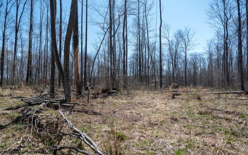 Lot 1 Preston Highway, Tunnelton, West Virginia 26444, ,Lots/land,For Sale,Preston,10164291